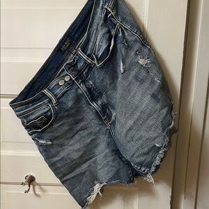 Judy Blue Distressed Jean Shorts in Blue